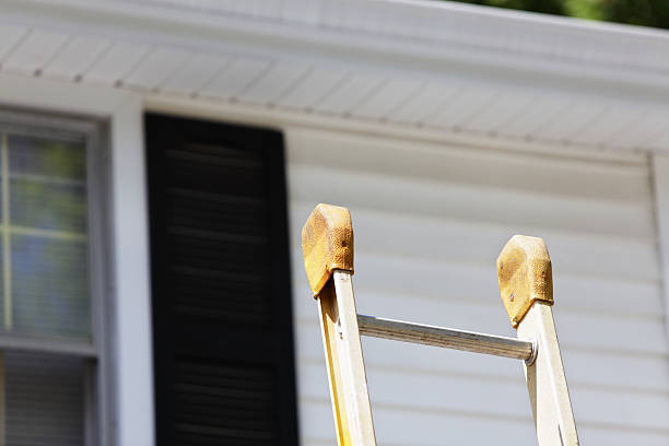 Siding Installation